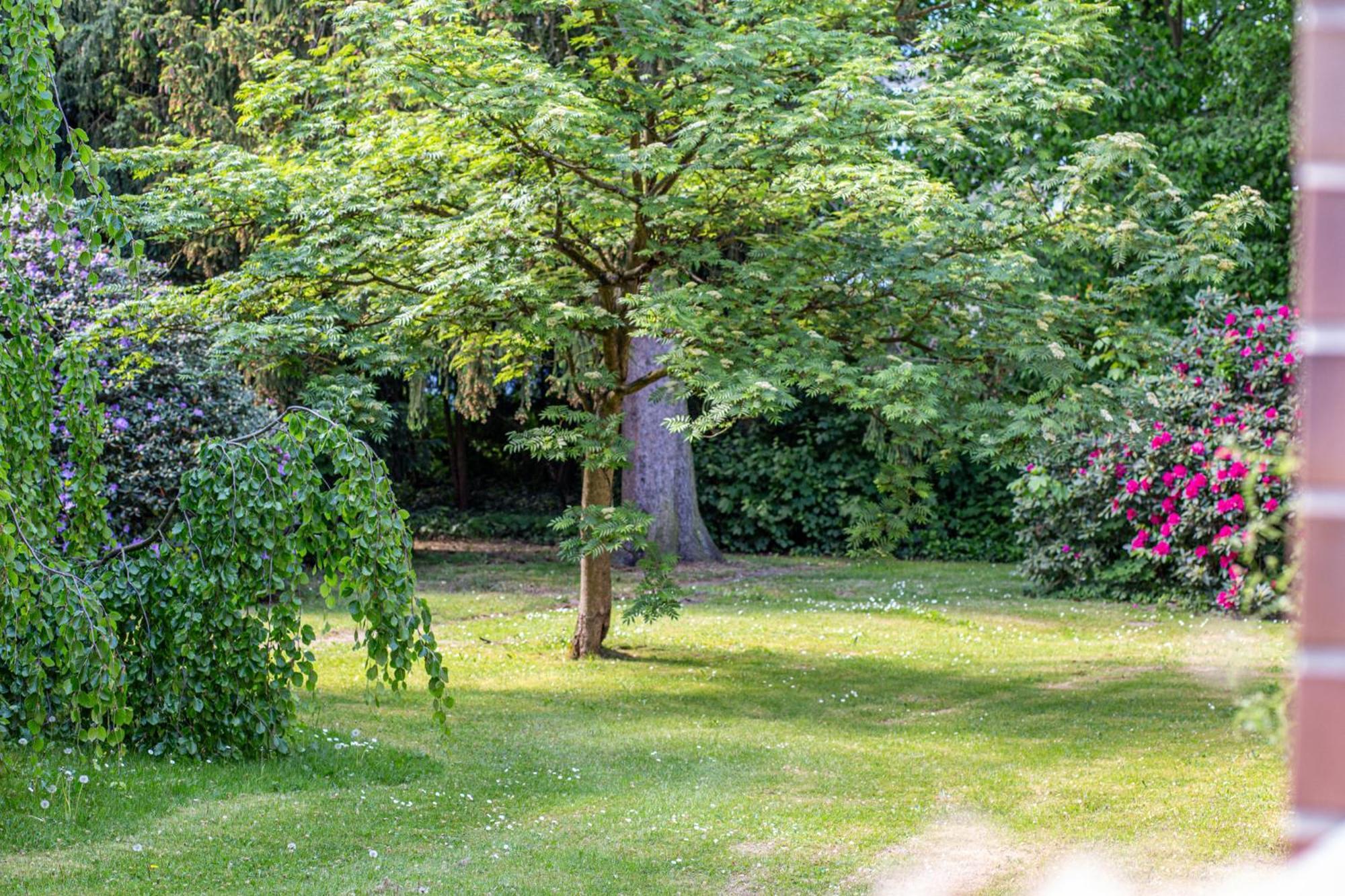 Have-A-Nice-Stay - Nahe Bahnhof Ahrensburg - 20 Minuten Nach Hamburg - Trotzdem Ruhig Gelegen - 6 Minuten Zu Fuss Ins Zentrum Ahrensburg - Modern Eingerichtet المظهر الخارجي الصورة